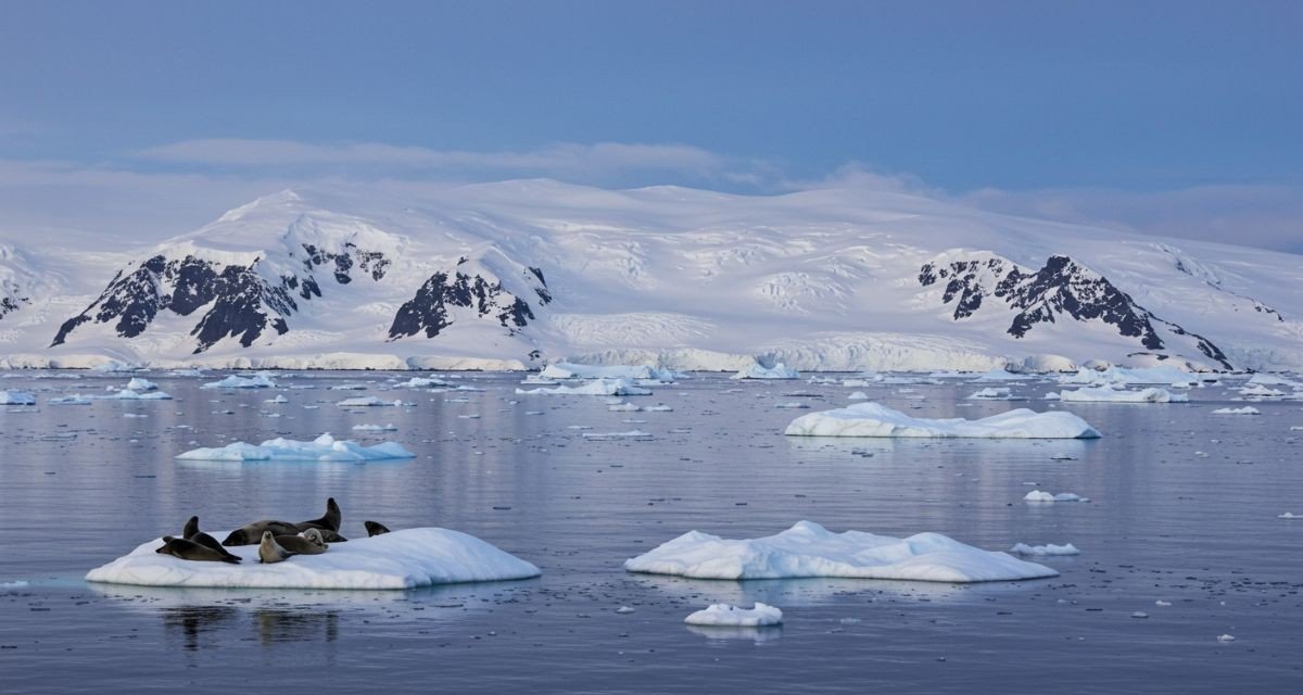Antártica o continente gelado