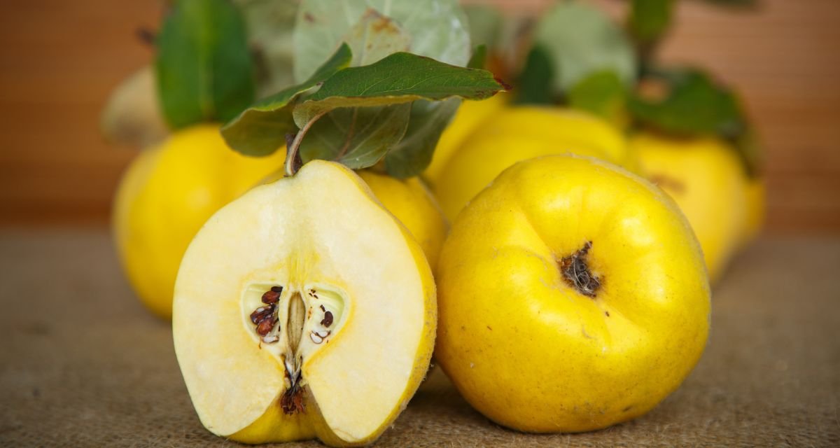 Conheça ou Relembre o Marmelo