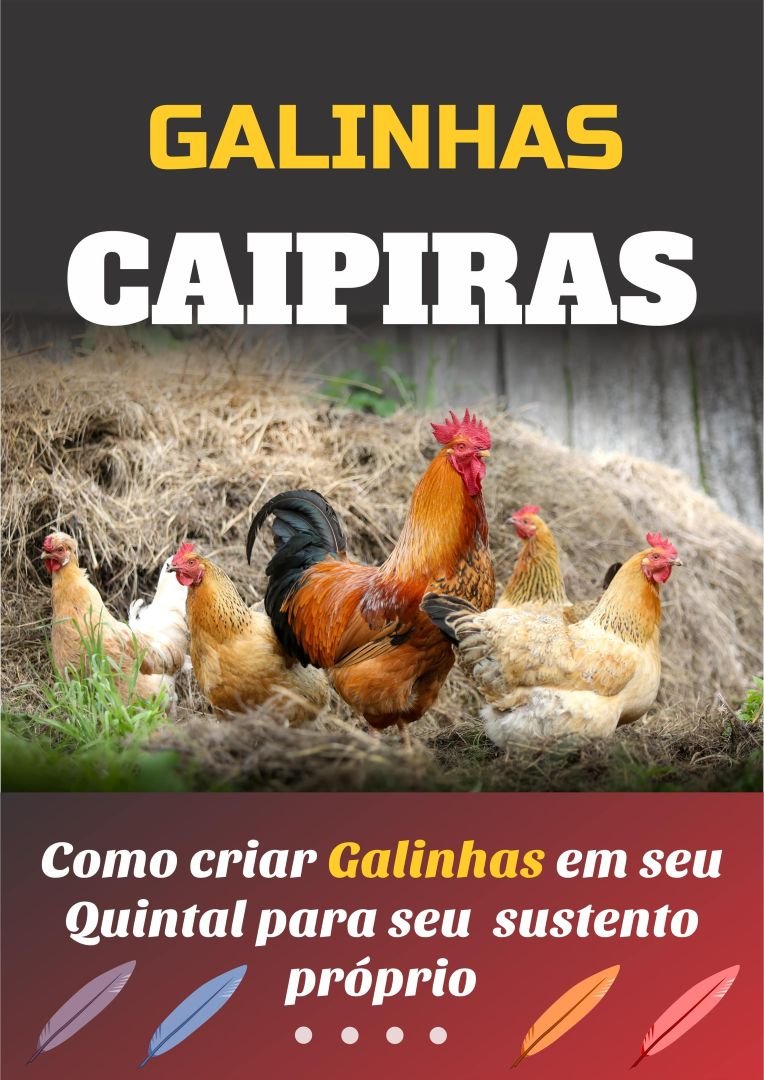 Galinhas Caipiras
