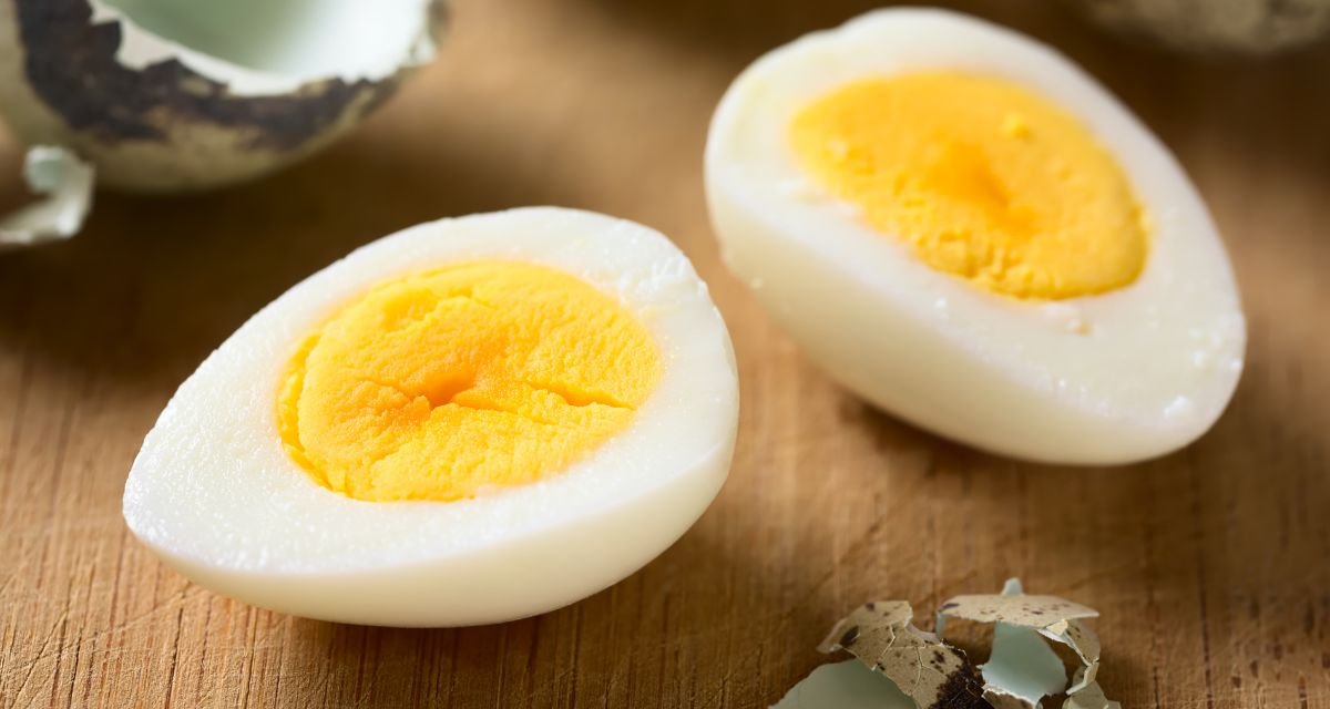 O que a Gema do Ovo tem de especial