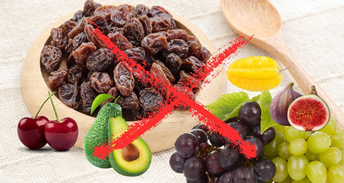 As Frutas Perigosas para pet