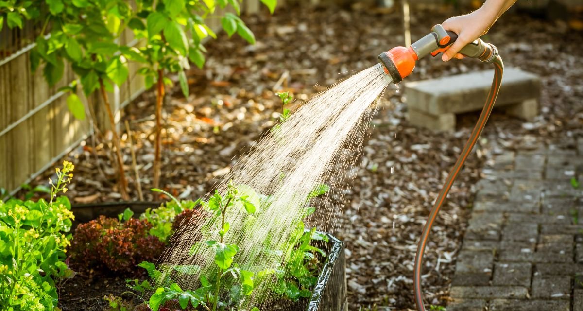 Começando Seu jardim Urbano_ Dicas Práticas