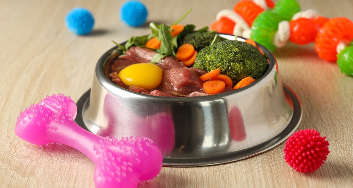 Por Que Dar Fruta Para o Cachorro