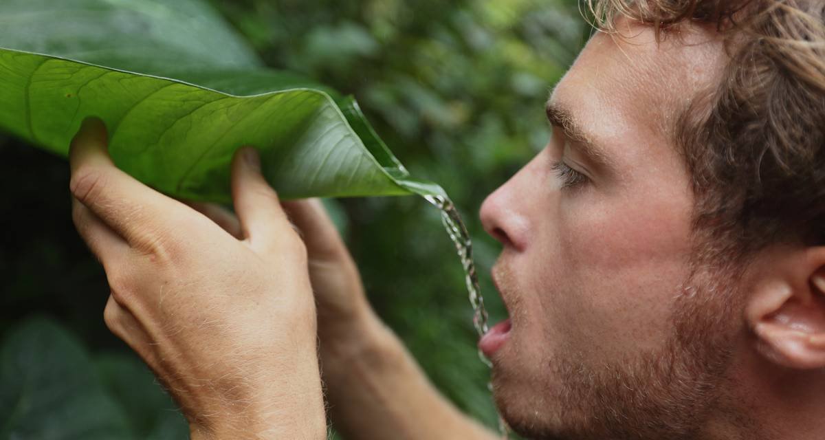 Dicas de Como sobreviver Perdido em uma floresta a dentro Os Quatro Pilares da Sobrevivência
