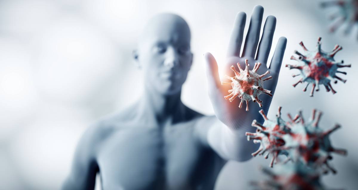 Entendendo o Guardião Silencioso O Que é o Sistema Imunológico