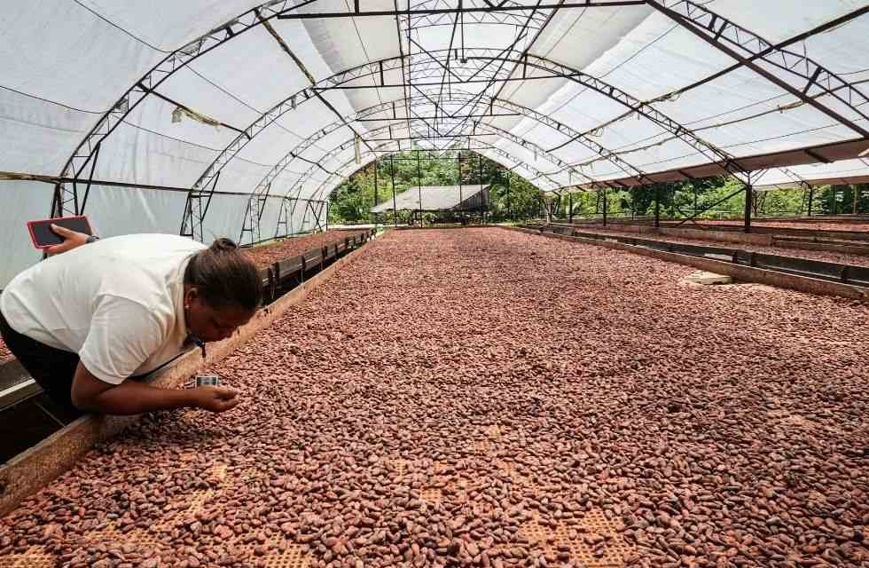 A Liderança Incontestável da África Ocidental